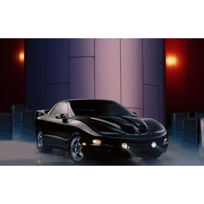 2002 Pontiac Firebird Trans AM ( Black)  24 x 36 Poster    273407859911